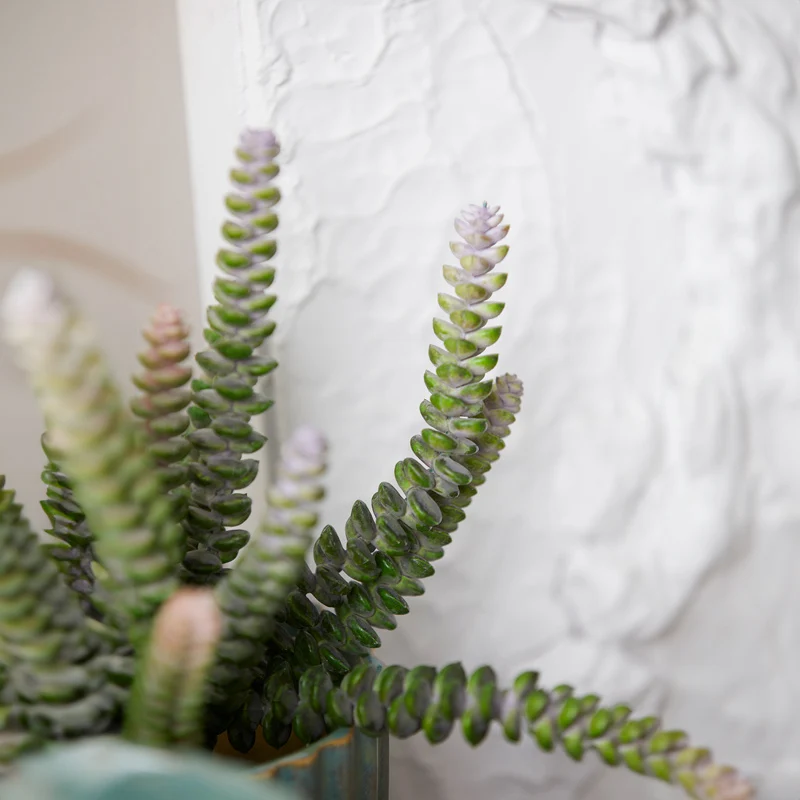 EDG Enzo De Gasperi Ramo Artificiale Crassula Pagoda Olis H28 cm Viola Sfumato