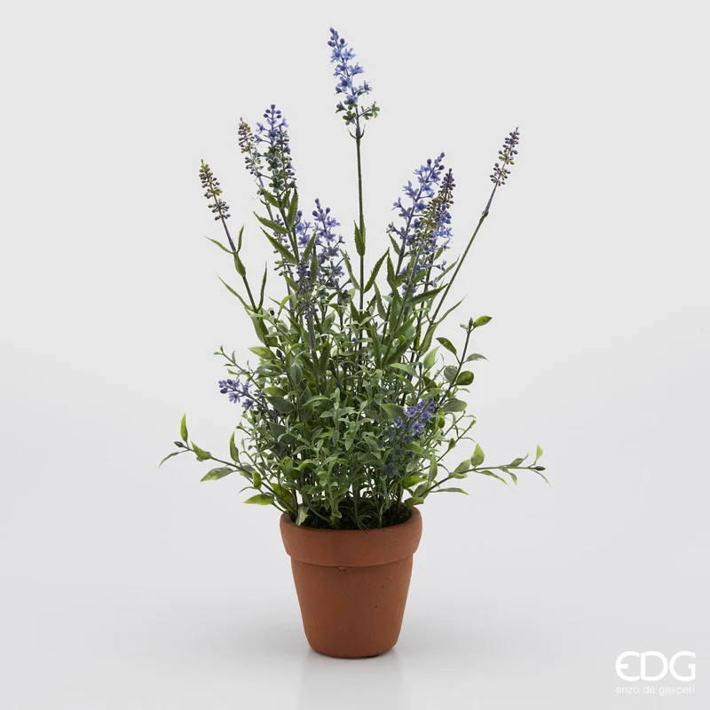 EDG Enzo De Gasperi Pianta Artificiale Lavanda West con Vaso H50 cm