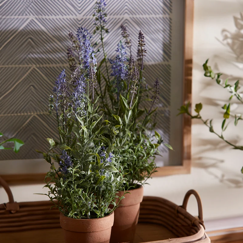 EDG Enzo De Gasperi Pianta Artificiale Lavanda West con Vaso H50 cm