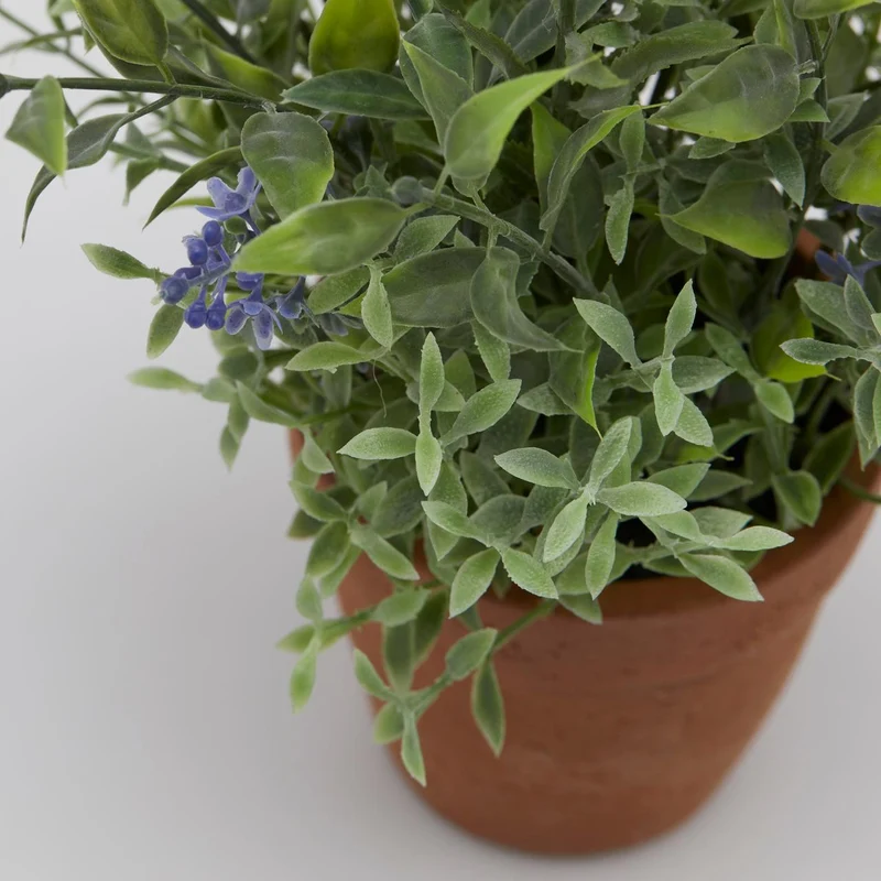EDG Enzo De Gasperi Pianta Artificiale Lavanda West con Vaso H50 cm