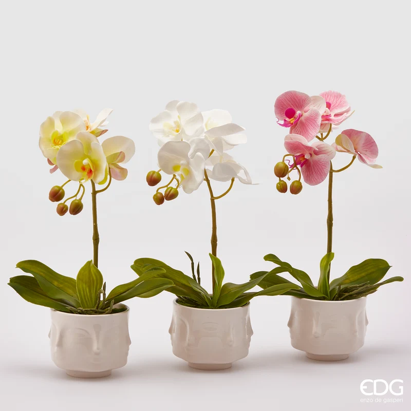 EDG Enzo De Gasperi Offerta Set 3 Orchidee Assortite con vaso Luxury H40 cm