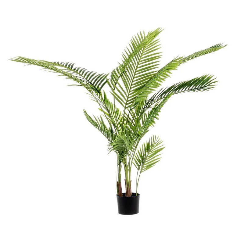 Andrea Bizzotto Pianta Palma Kenzia con vaso 17 Foglie H160 cm