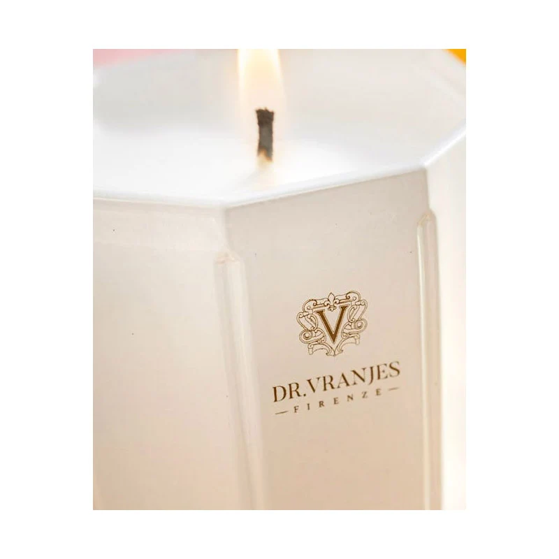 Dr Vranjes Candela Perla 500 gr Ginger Lime