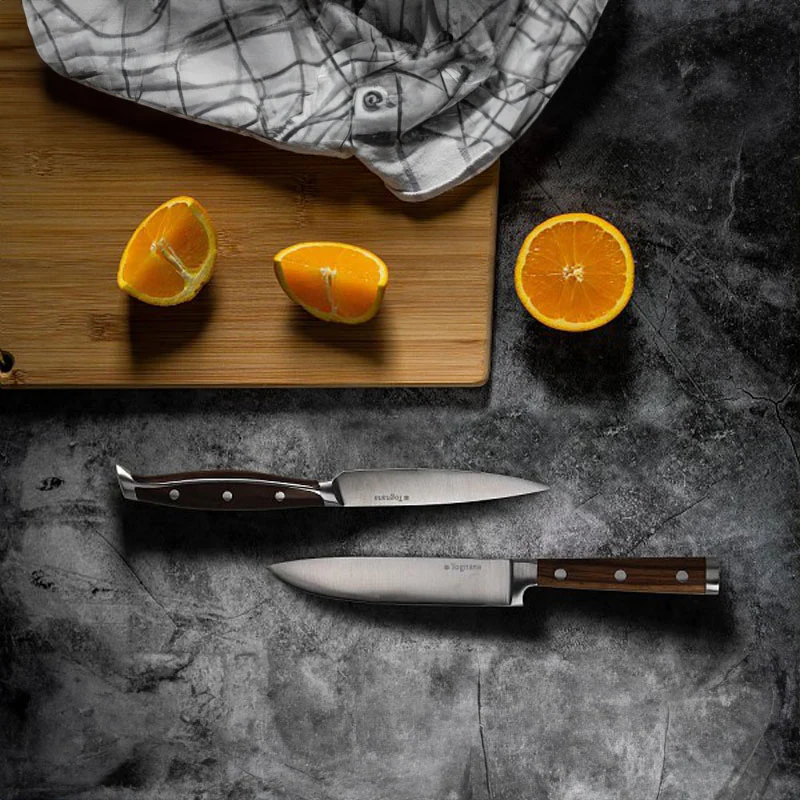 Tognana Coltello Filetto Living Wooden