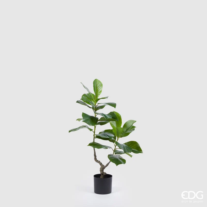 EDG Enzo De Gasperi Pianta Artificiale Ficus Chic x2 H90 cm