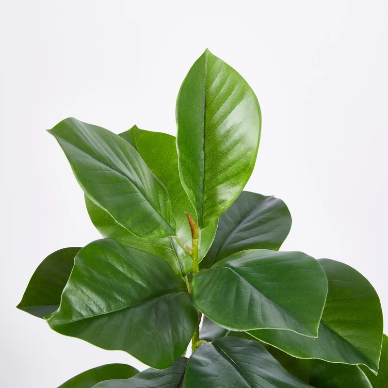 EDG Enzo De Gasperi Pianta Artificiale Ficus Chic x2 H90 cm