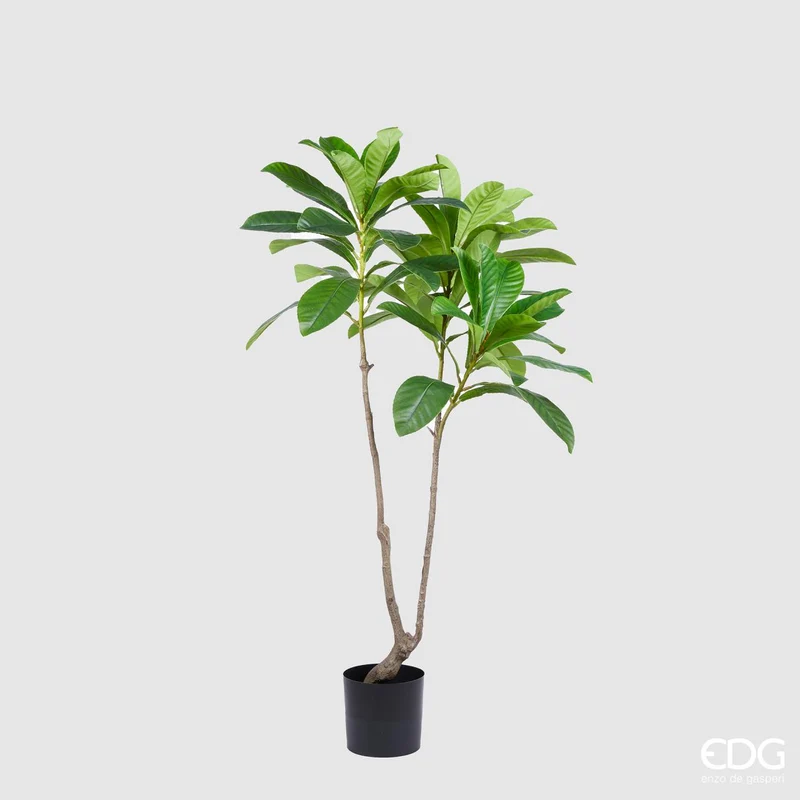 EDG Enzo De Gasperi Pianta Artificiale Elaeocarpus Chic X3 con Vaso H150 cm