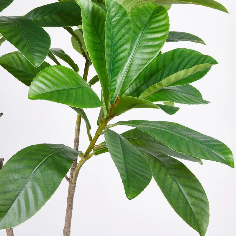 EDG Enzo De Gasperi Pianta Artificiale Elaeocarpus Chic X3 con Vaso H150 cm