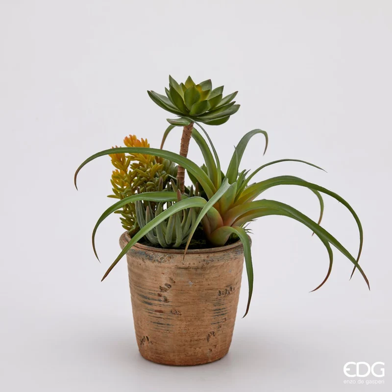 EDG Enzo De Gasperi Pianta Artificiale Succulent Mix con Vaso H32 cm