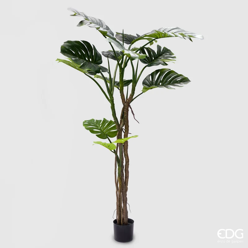 EDG Enzo De Gasperi Pianta Artificiale Monstera Slim con Vaso H180 cm