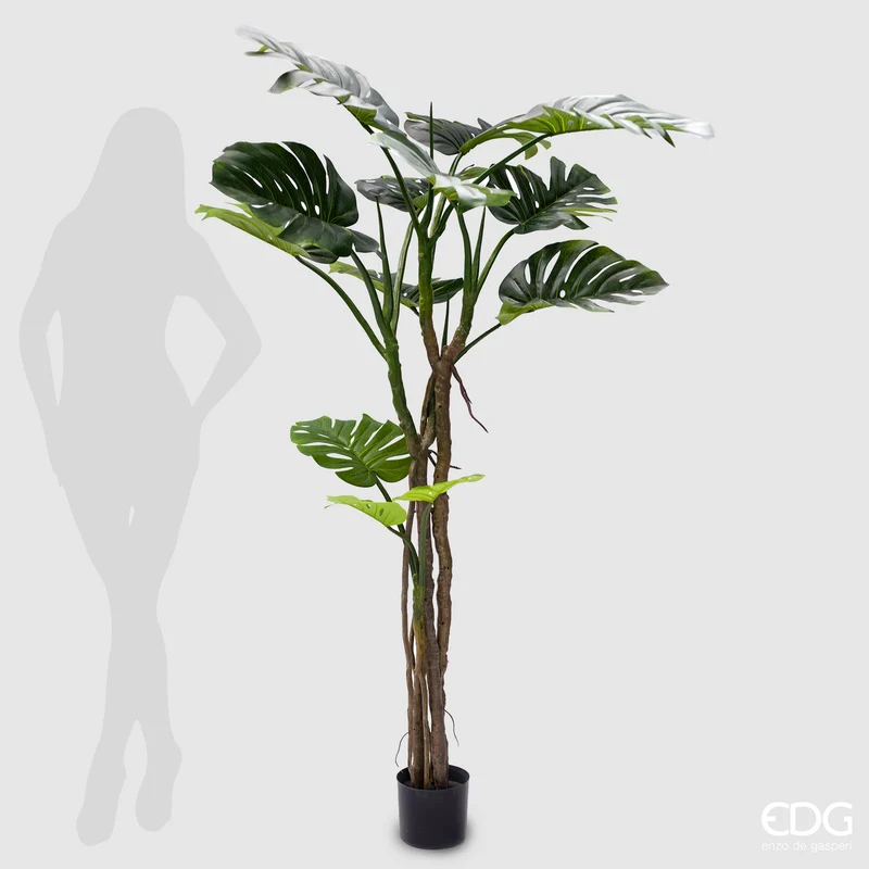 EDG Enzo De Gasperi Pianta Artificiale Monstera Slim con Vaso H180 cm