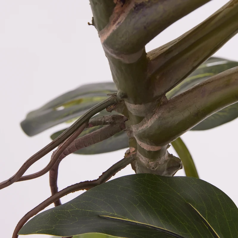 EDG Enzo De Gasperi Pianta Artificiale Monstera con Vaso H130 cm