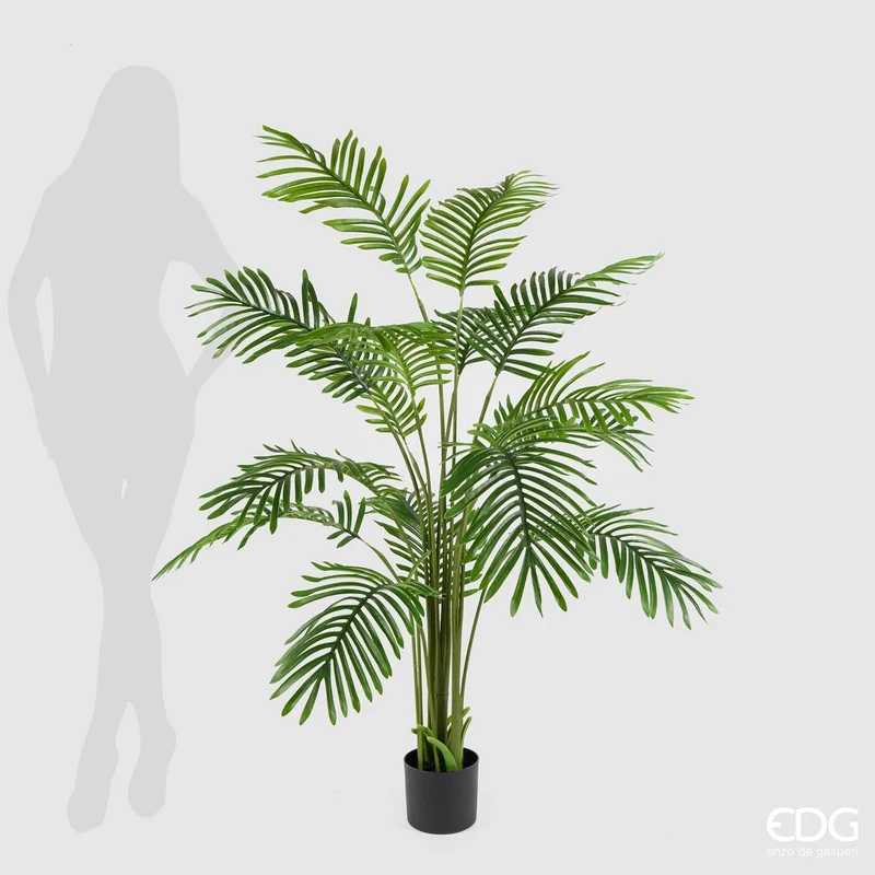 EDG Enzo De Gasperi Pianta Palma Areca con Vaso H150 cm