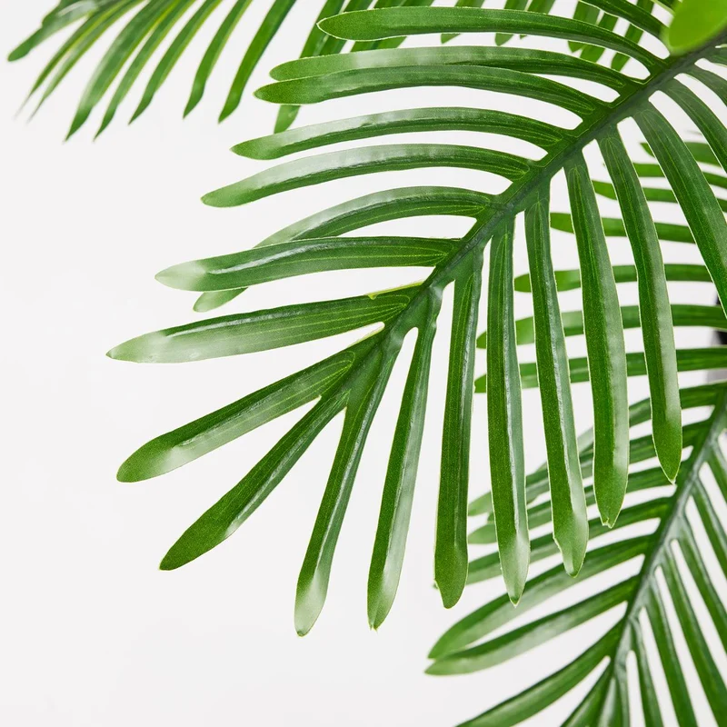 EDG Enzo De Gasperi Pianta Palma Areca con Vaso H150 cm