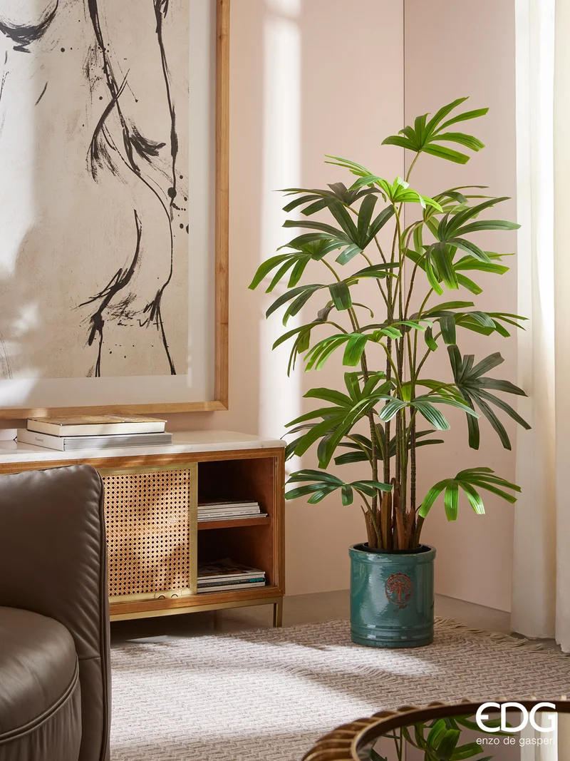 EDG Enzo De Gasperi Pianta Palma Rapisgracilis con Vaso H145 cm