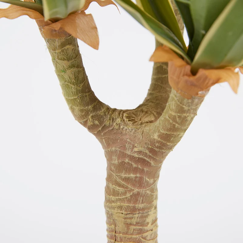 EDG Enzo De Gasperi Pianta Agave Chic Succulent con vaso H70 cm
