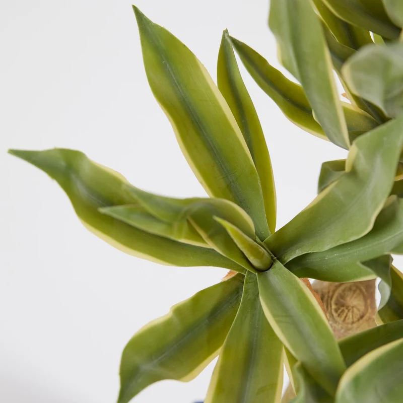 EDG Enzo De Gasperi Pianta Agave Chic Succulent con vaso H70 cm