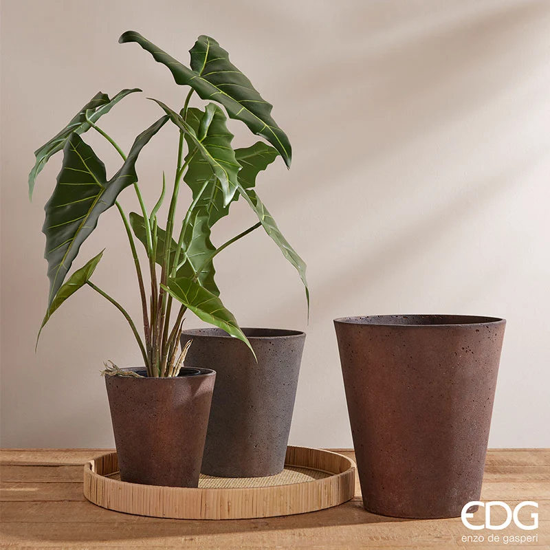 EDG Enzo De Gasperi Pianta Alocasia Chic con vaso H58 cm