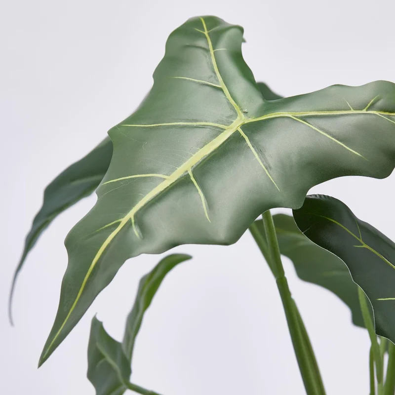 EDG Enzo De Gasperi Pianta Alocasia Chic con vaso H58 cm