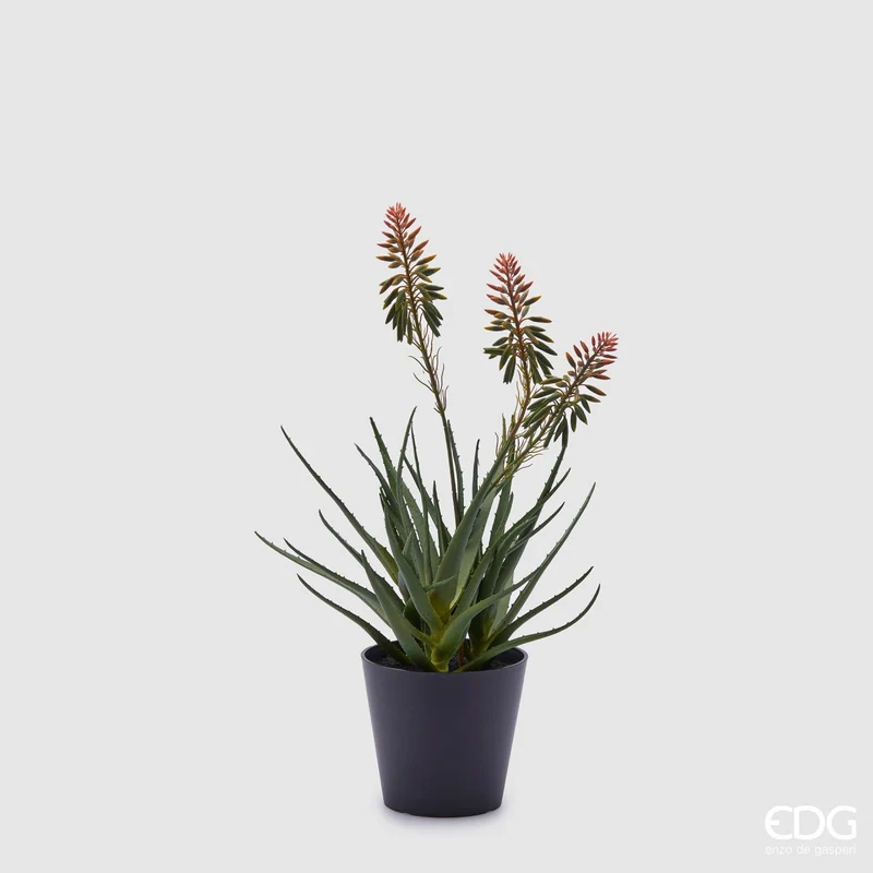 EDG Enzo De Gasperi pianta Aloe con vaso e fiori H50 cm