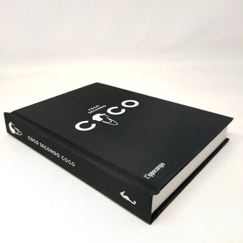 Ippocampo Edizioni little book da Collezione il mondo secondo Coco