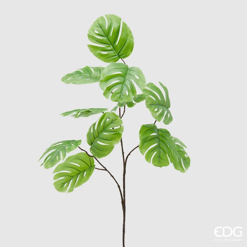 EDG Enzo De Gasperi Ramo di pianta Monstera 11 foglie H85 cm