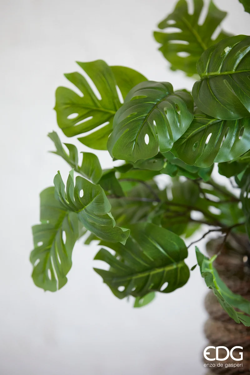 EDG Enzo De Gasperi Ramo di pianta Monstera 11 foglie H85 cm