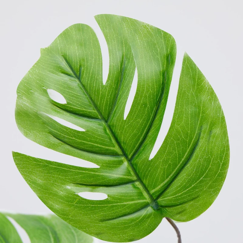EDG Enzo De Gasperi Ramo di pianta Monstera 11 foglie H85 cm