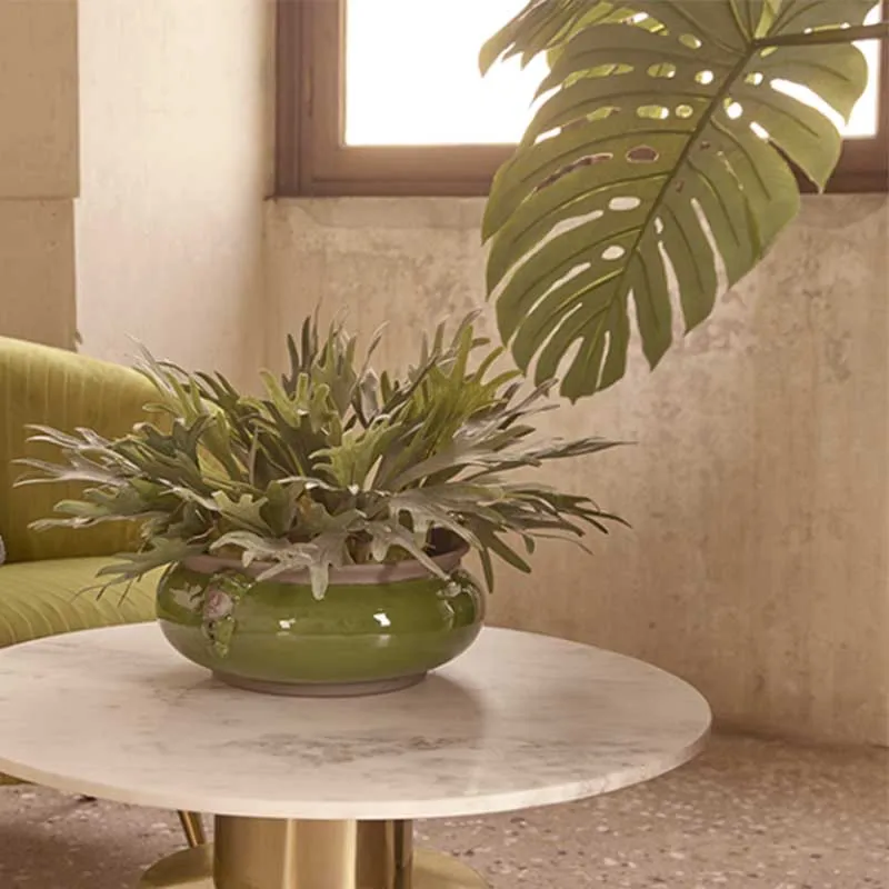 EDG Enzo De Gasperi pianta con vaso Monstera h155 cm