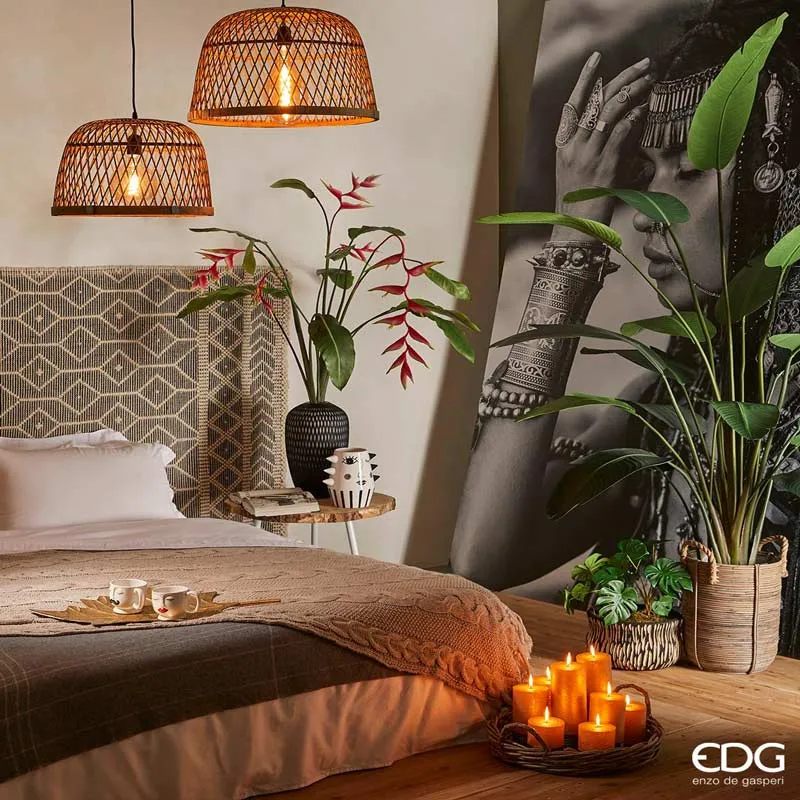 EDG Enzo De Gasperi pianta con vaso Strelitzia Chic h150 cm
