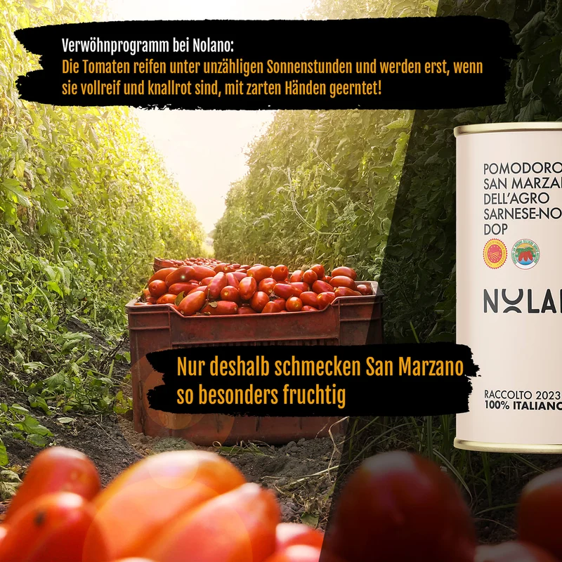 Caputo Fioreglut glutenfreies Mehl Set - Nolano San Marzano Tomaten & Meersalz