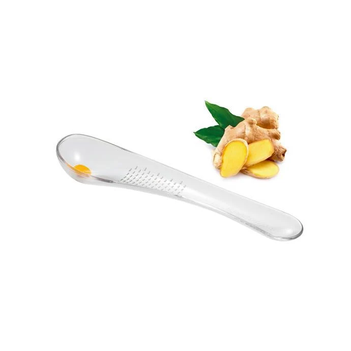 Tescoma Grattugia zenzero Linea Presto