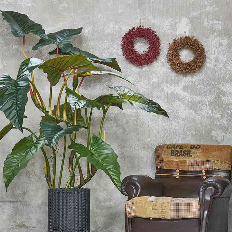 EDG Enzo De Gasperi pianta con vaso Alocasia 14 Foglie H 177cm
