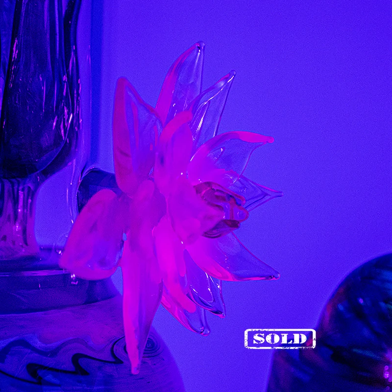 Best of 2020: Dezember "Nymphaea"