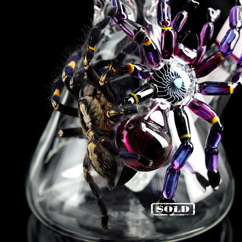 Best of 2023: September "Tarantula"