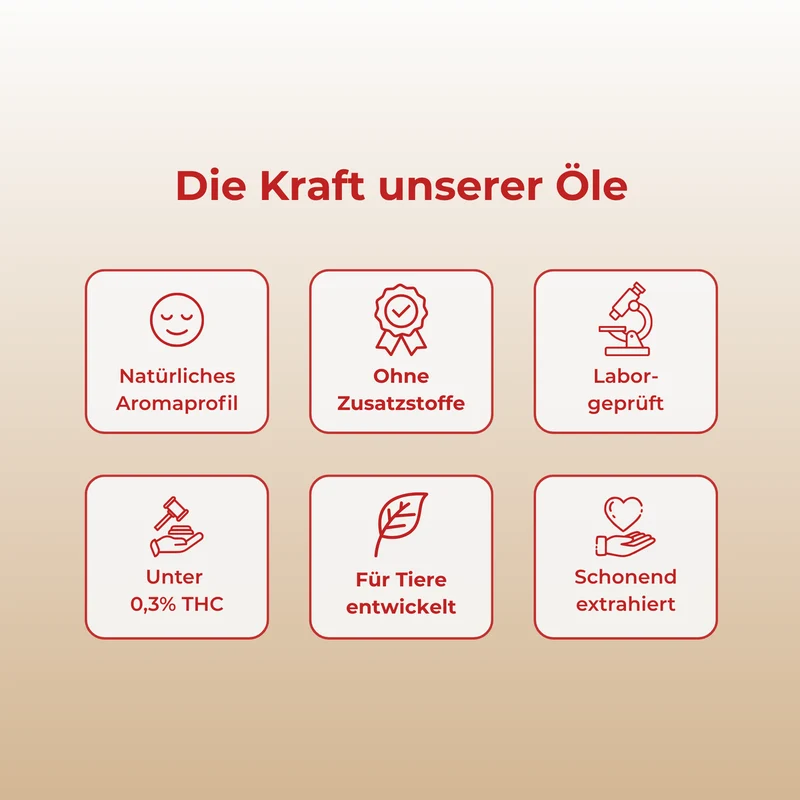 Lachs CBD-Öl