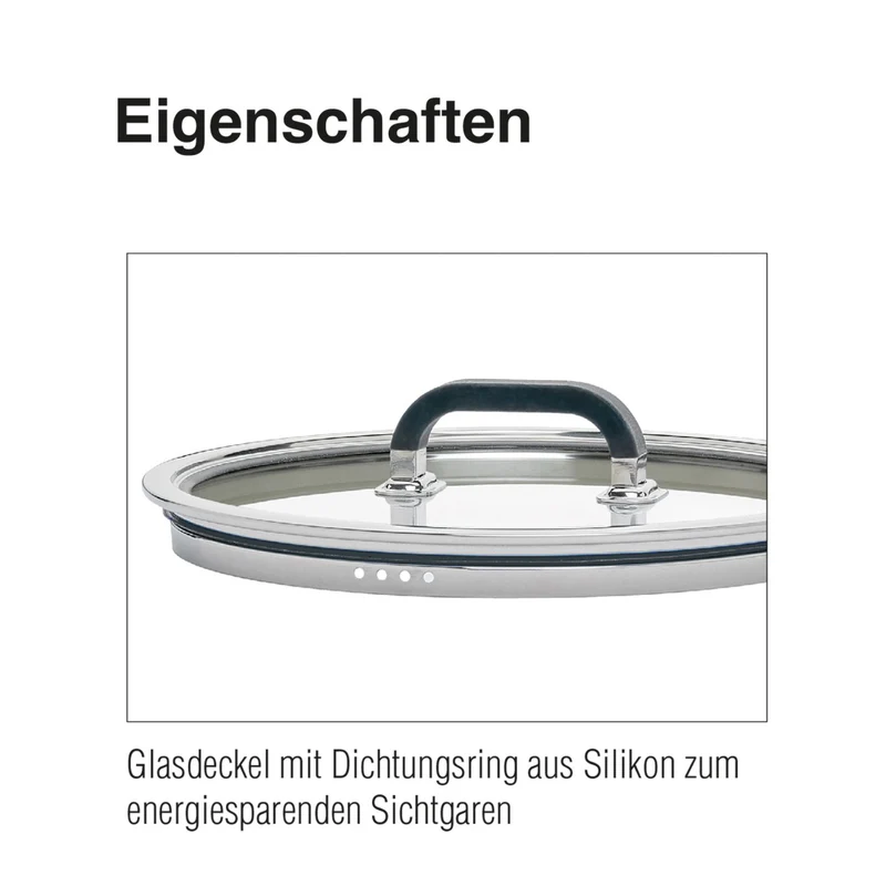 SPRING Glasdeckel FUSION2+ 20 cm