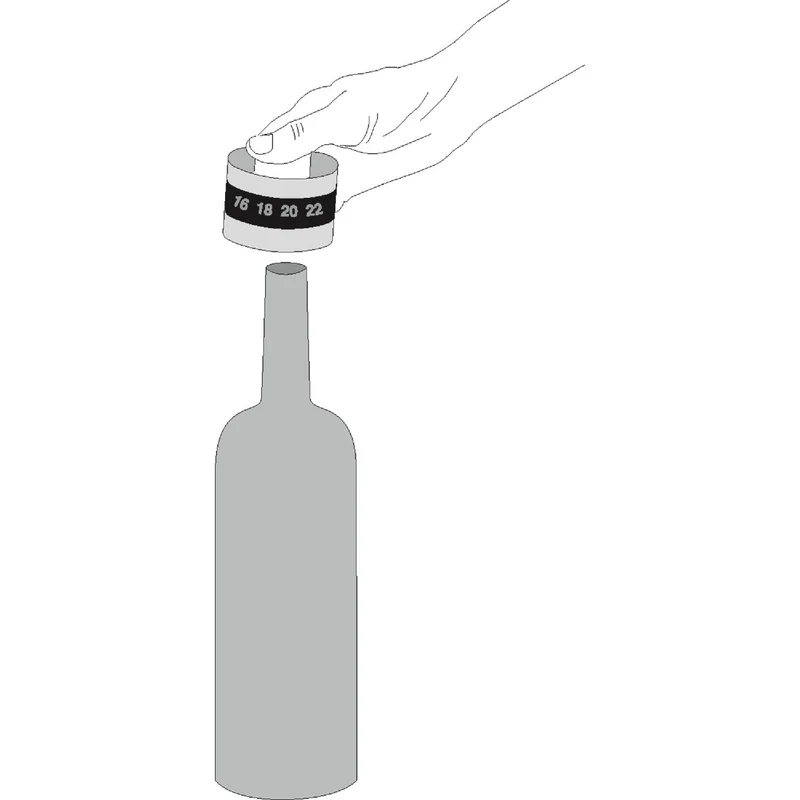 WMF Weinthermometer Clever & More